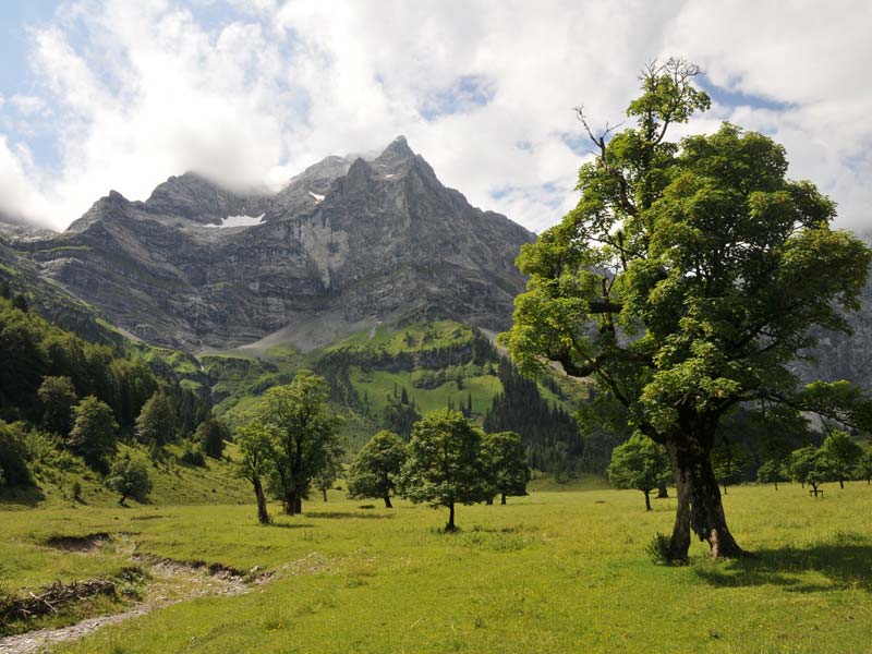 Ahornboden ©P. Steinmüller