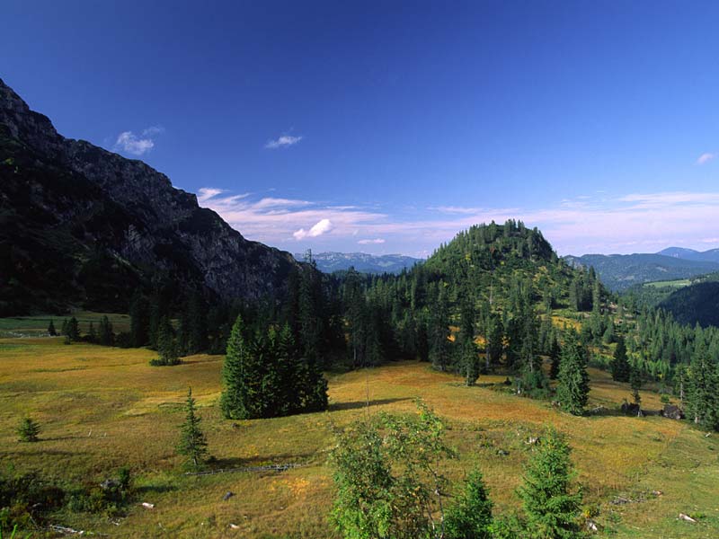 Moor bei der Rotwandalm ©Naturpark Karwendel