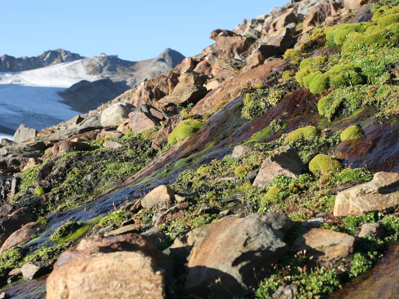 Faszination Geologie im Naturpark Ötztal ©Thomas Schmarda