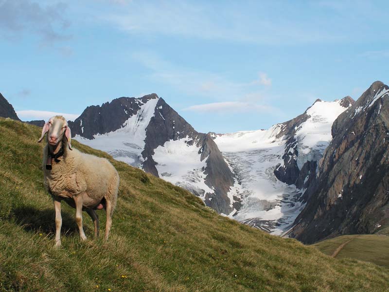 Hohe Mut in Obergurgl ©Thomas Schmarda