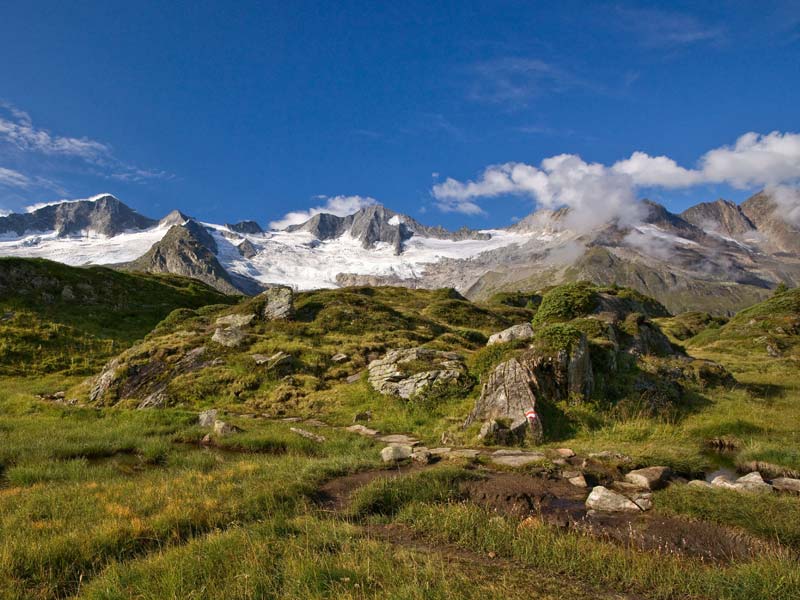 Zillertaler Hauptkamm und Schwarzensteinmoor ©Hochgebirgs-Naturpark Zillertaler Alpen